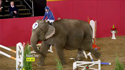 tumblr_my1ya4VvZy1qe2thio1_400.gif