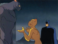tumblr_nc4ykmW5ku1rrkahjo4_250.gif