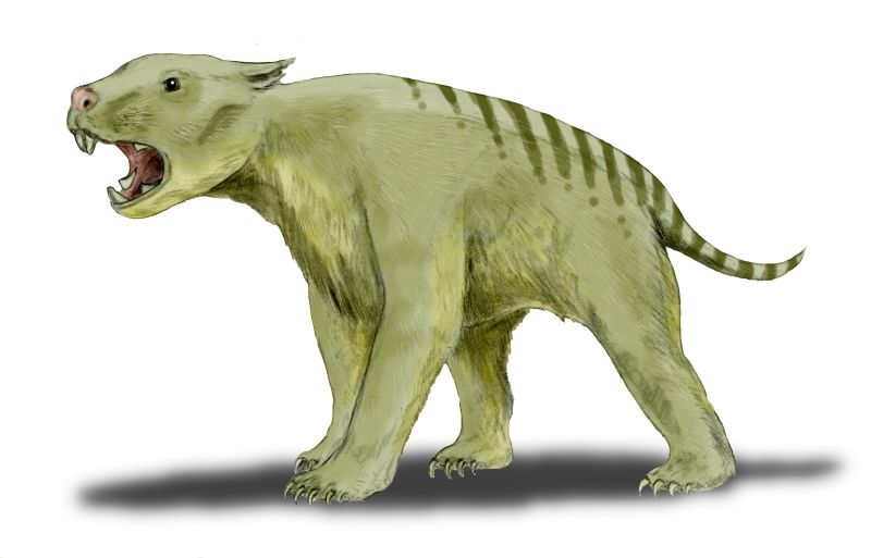 Thylacoleo_BW.jpg