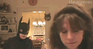 tumblr_m26190WVph1qlcs90o1_400.gif