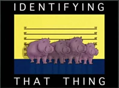 Identify.JPG