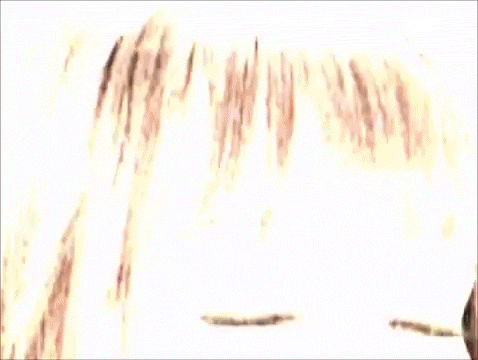 tumblr_nzh36qhZfO1tt9lrzo7_500.gif