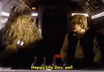6y9k49.gif