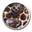 42_32.png