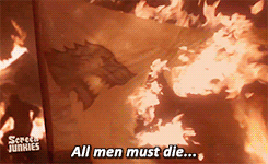 tumblr_n5r627bn771rq2tzmo8_250.gif