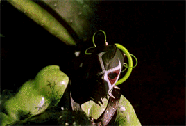 tumblr_oruigonCIq1rrkahjo7_400.gif