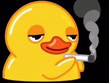 classic-duck-smoking-duck.gif