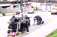 tumblr_n5uizqcfwq1tbab3eo3_250.gif