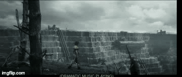 9tzx2g.gif