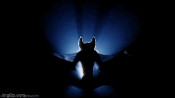 e48248e7c82ae4c05ed8dfa9ae4f3735.gif