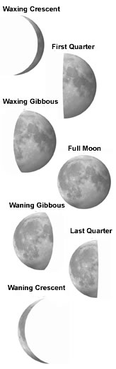 phases.jpg