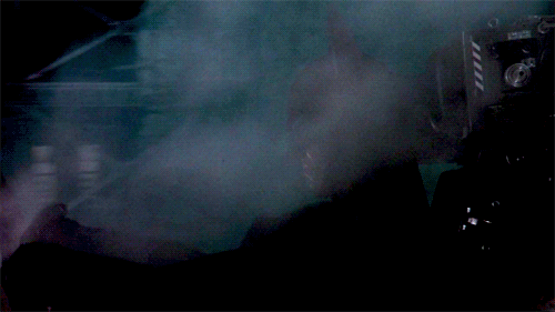 tumblr_nbrqsucwyE1rrkahjo6_500.gif