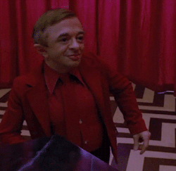 tumblr_n5nmisYp3b1tshffyo2_250.gif