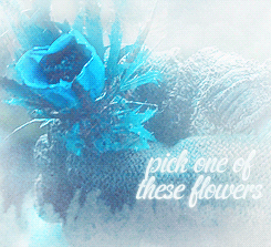tumblr_mdmu2xoe9B1qeqqleo3_r1_250.gif