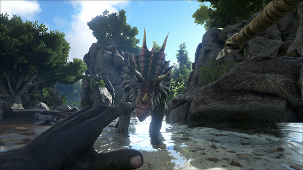 ARK-Switch_10-26-18.jpg
