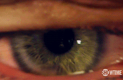 tumblr_n4hw4d9Q3D1qdg533o4_250.gif