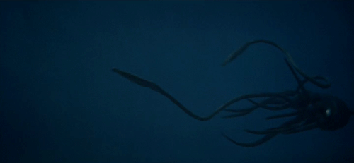 tumblr_mrtdfp4sam1qi66kho1_500.gif
