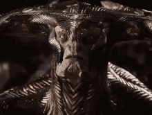 tenor.gif
