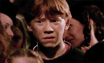 tumblr_inline_mzy6r0qH1x1qbxca2.gif