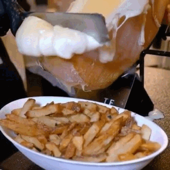 tumblr_p1lahfIeaL1w4vglmo1_400.gif