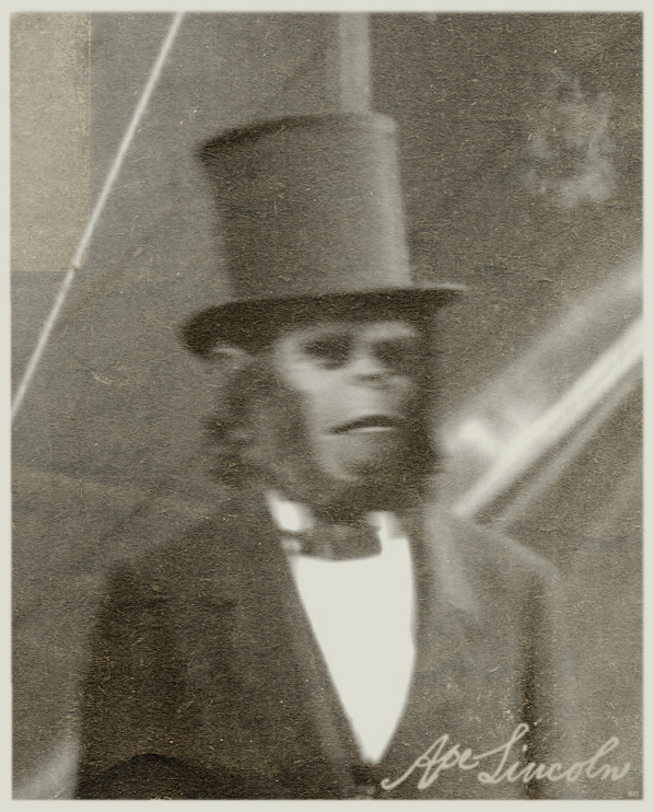 apelincoln1.jpg