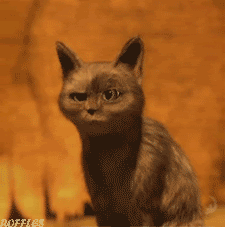 tumblr_lxg9owmceA1r4ha8uo2_250.gif
