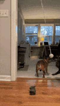 play-time.gif