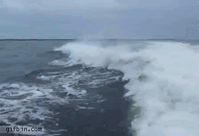 3d1.gif