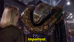tumblr_mwdzc0NqOG1sj04gto4_r1_250.gif