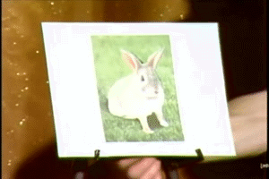 tumblr_m9wa5hpZnW1rnh9pzo1_400.gif