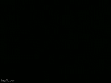 95x595.gif