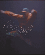 icebug.gif