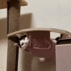 this-is-how-we-chill.gif