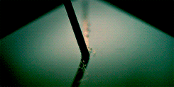 tumblr_ntlguiTyfN1rlpdfuo2_r1_250.gif