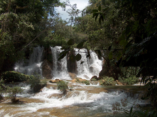 p14.jpg