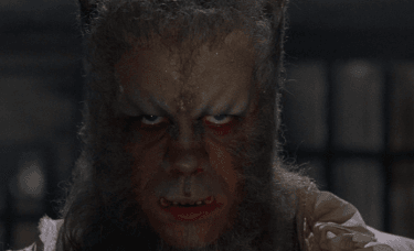 tumblr_nvr4a3ahcQ1sqf5tdo4_400.gifv