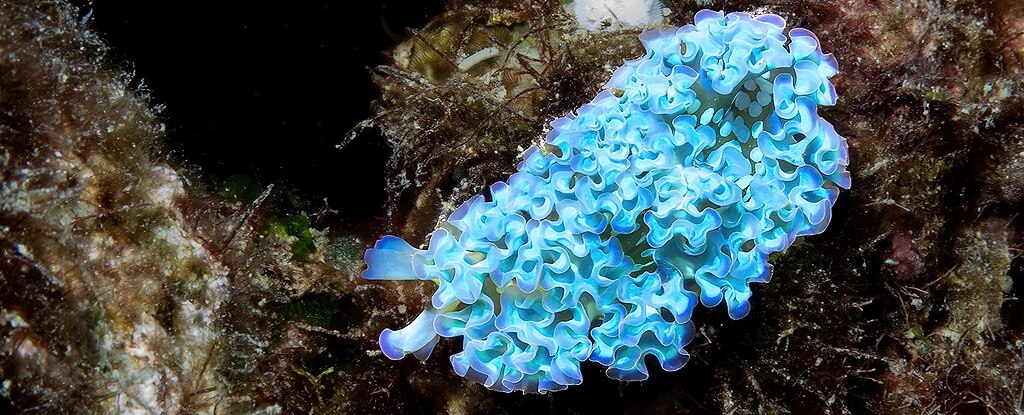 www.sciencealert.com