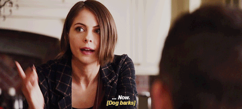tumblr_o6pnq5eMdf1qa7ubto3_500.gif
