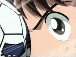 tumblr_n5vo5ucdkX1tbealgo1_400.gif