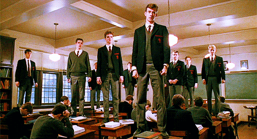tumblr_na63s90l7O1r745vdo1_500.gif