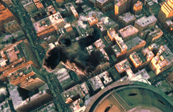 tumblr_n63rtkT6AL1shnmv3o6_250.gif