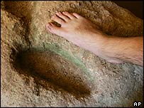 _39962496_foot_ap203body.jpg