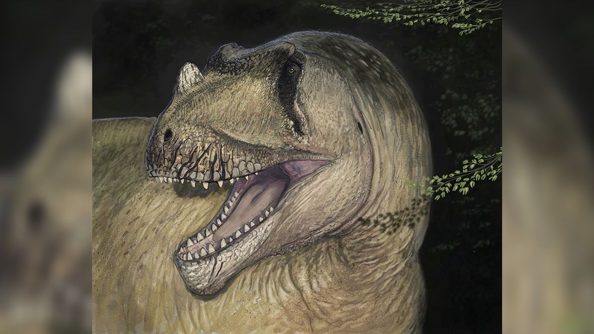 www.livescience.com