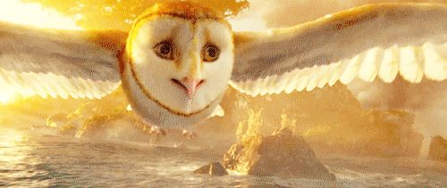 tumblr_o5s5c0x4cu1v2ayeco1_500.gif