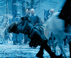 tumblr_n78zamRVoD1qcmptjo4_250.gif