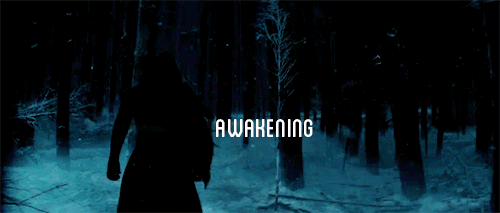 tumblr_nfretxcwYd1ru9kspo7_500.gif