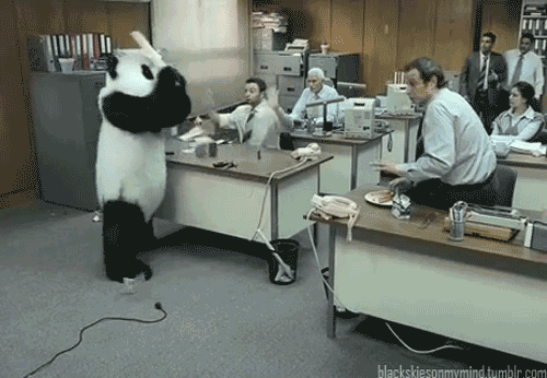 76f97483ccdff59a25747deb4fee8395.gif