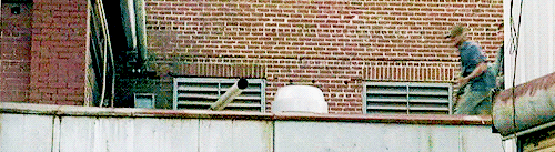 tumblr_ndhm31ct1o1thuopmo3_r2_500.gif