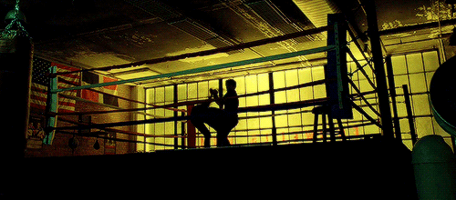 tumblr_oc951baBot1rxobr1o8_r1_500.gif