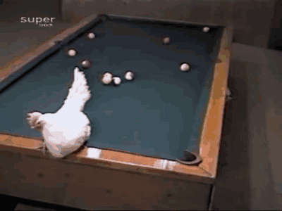 tumblr_inline_mfo0y7L0cT1r6h3ab.gif